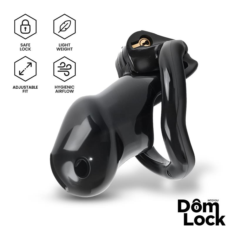 DomLock  penishäkki S